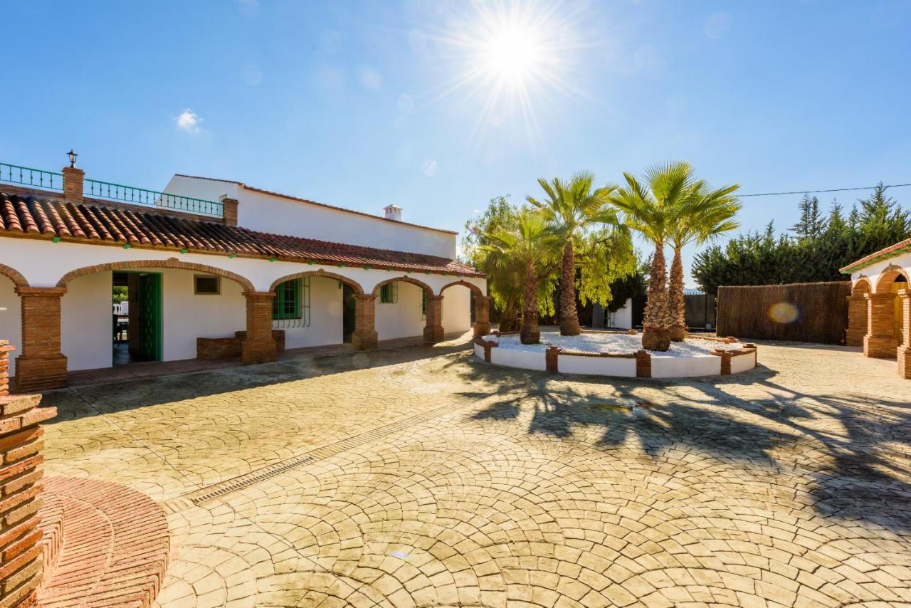 Cubo'S Estudio El Patio Andaluz 7 Lägenhet Cártama Exteriör bild